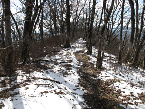 20160218hike (462)